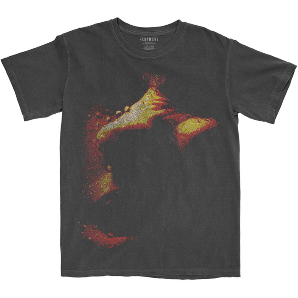 Paramore - This Is Why Heren Tshirt - Zwart